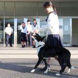 資格教養講座 動物とかかわるお仕事講座