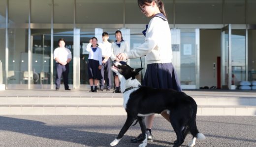 資格教養講座 動物とかかわるお仕事講座